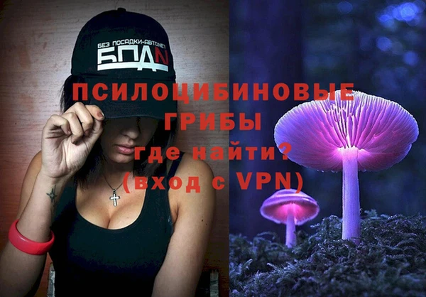 скорость mdpv Белокуриха